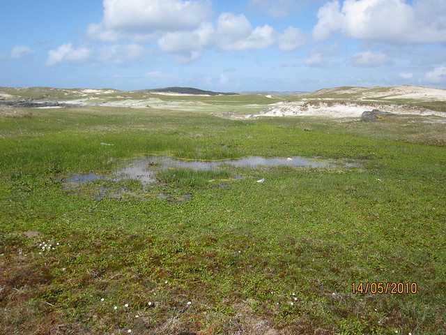 machair wetland Mannin Bay. Photo by Micheline Sheehy-Skeffington