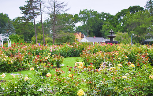Rose Garden | Central Park Schenectady, NY | Marvin . | Flickr