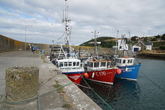 Helvick  Harbour
