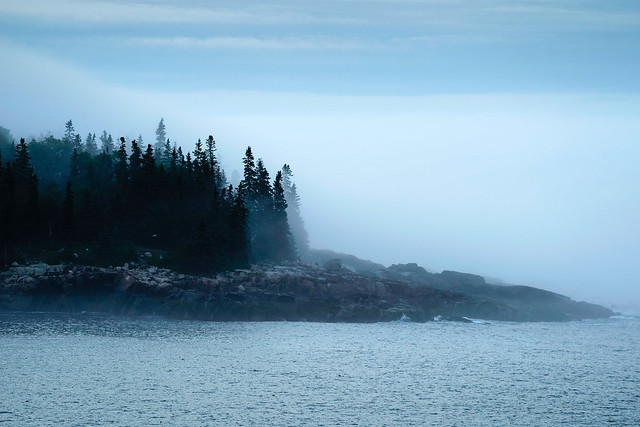 Maine Fog