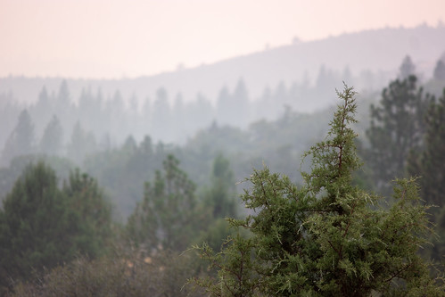 yreka california unitedstates us landscape fire smoke trees cali norcal