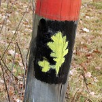 Das Eichenblatt-Piktogramm kennzeichnet in der Wahner Heide die Maikammer-Route