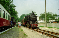 Steam locomotive Heiligendamm