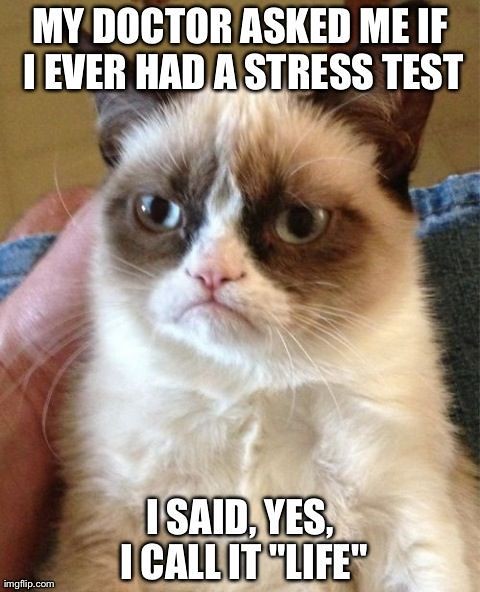 Best Funny Quotes : Life is a stress test. | Best Funny Quot… | Flickr