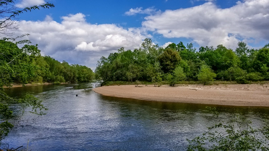 A Bend in the Bogue Chitto