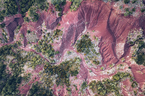 nature landscape sky drone view red trees herault occitanie france explore travel summer