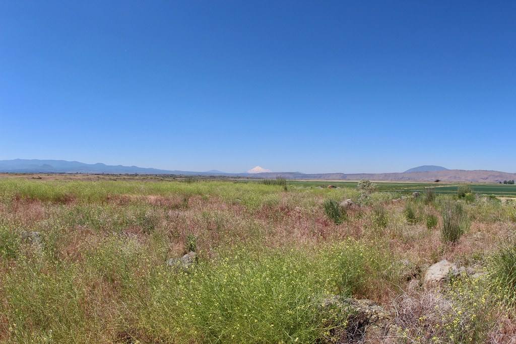 Sheepherder Trail