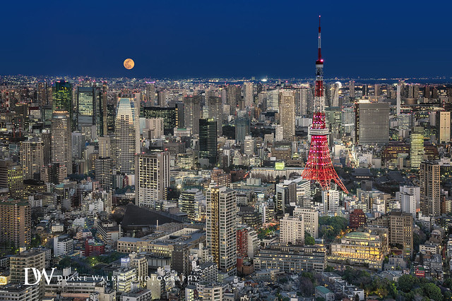 Tokyo Tower and Full Moon Cityscape