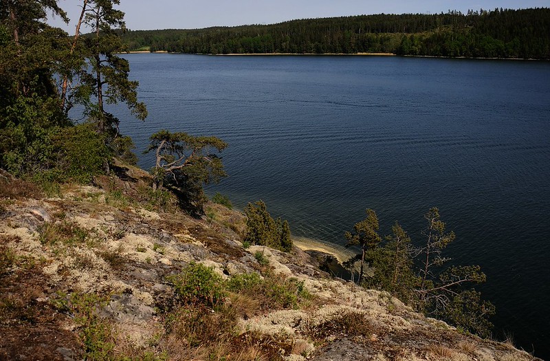20180520-013F | Naturreservat Öbacken-Bränninge, an der Schärenküste bei Södertälje. Södermanland / Schweden, 20.05.2018