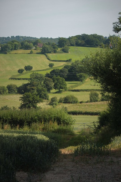 Rural Life in the Witherenden Valley, Sussex