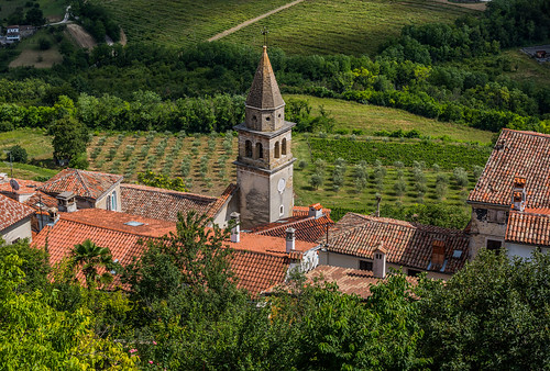 croatia kroatien motovun montona kirchturm spire dächer roofs roof dach turm landschaft gras büsche gebäude