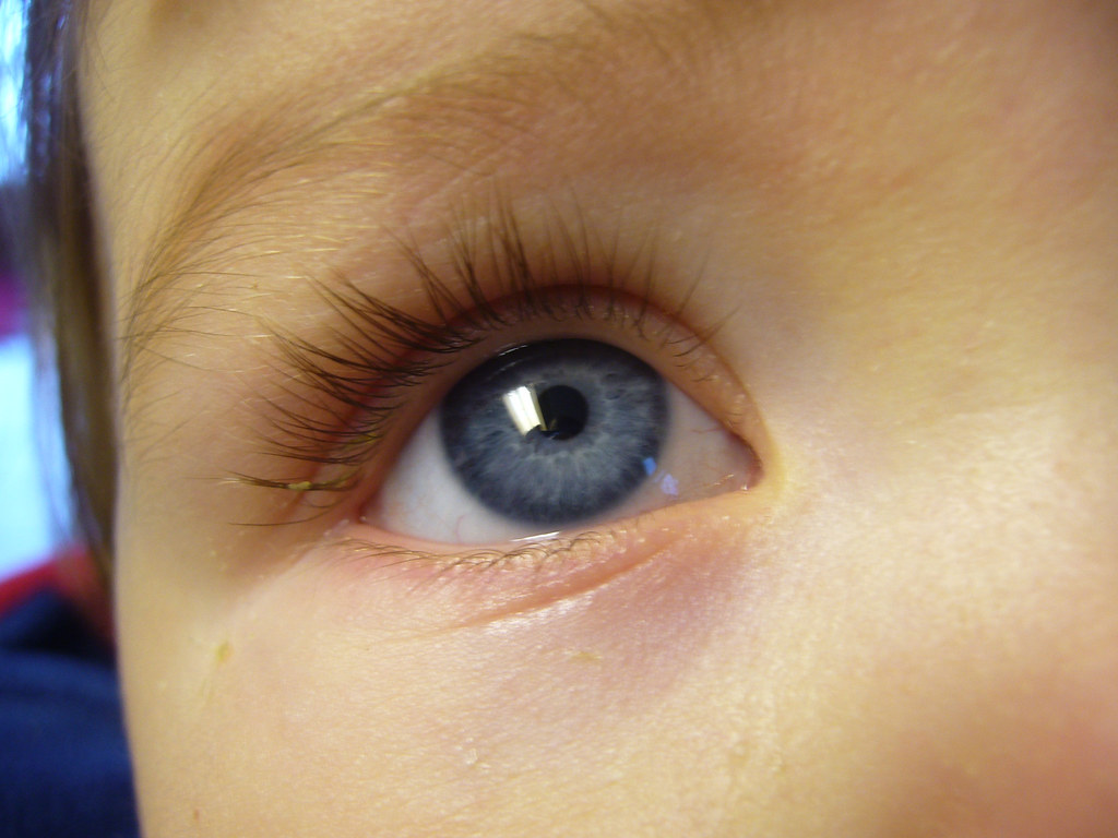 Eye Close Up | Brayden has very blue eyes. I was showing his… | Flickr