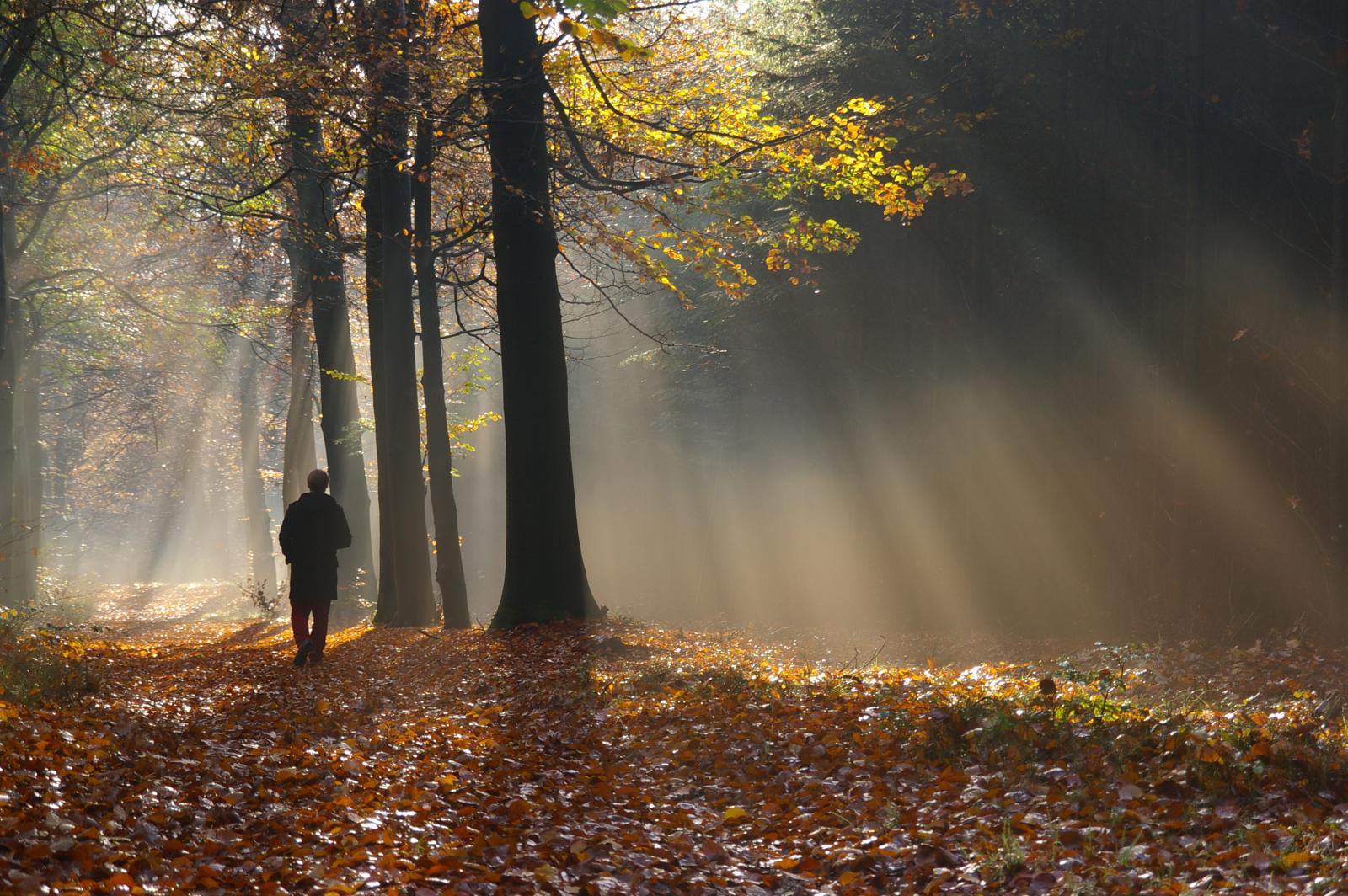 Гулял октябрь. Осень одиночество. Осень грусть. Осень одинокий. Человек в осеннем лесу.