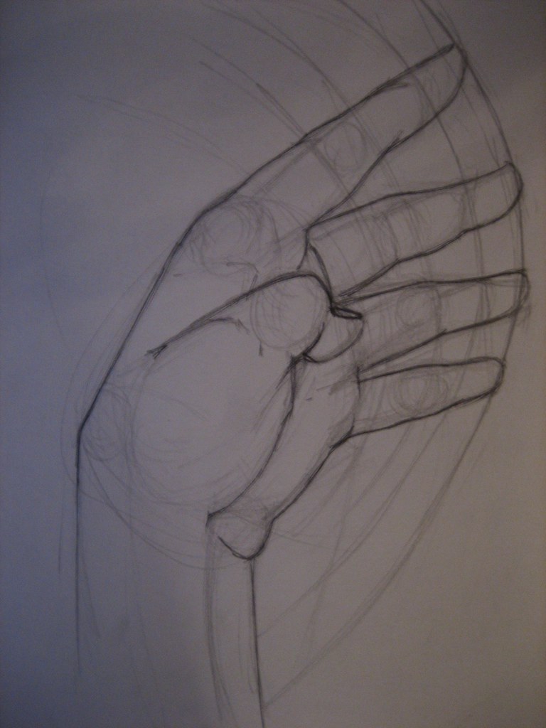 Mi mano | Estudio mediante planos | asenjo_art | Flickr