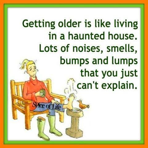 Birthday Quotes : funny get over aging quotes - Google Sea… | Flickr
