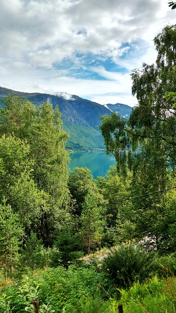 View from our AirBnB hut onto the Nordfjord