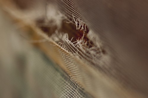 All meshed up | by AngharadW