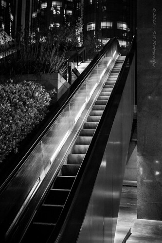Going Up | by SJS Photog