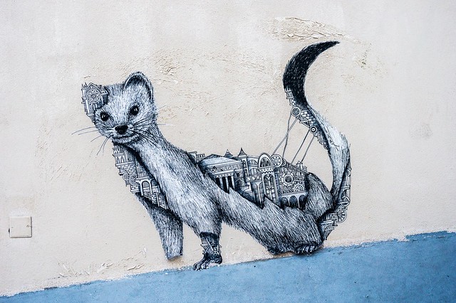 The urban ferret
