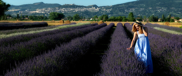 Assisi like Provence