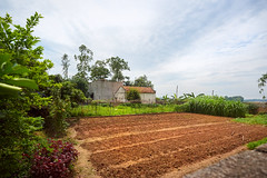 Garden plot in rural Vietnam