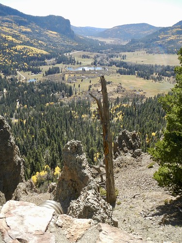 Stick in the View, 