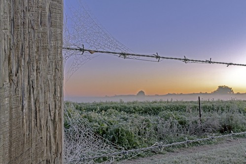 cold ice barbed wire hinton sunrise morning grass crops fence post 7d 2470 web spiderweb
