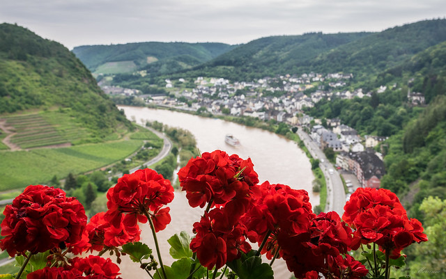 Moselle View