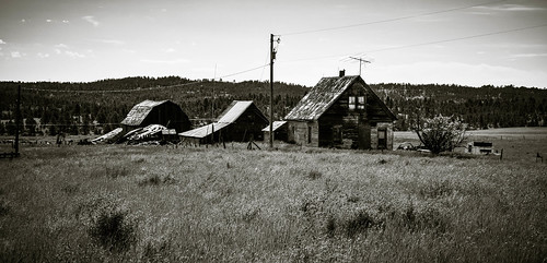 house barn monochrome white black trees pole montana broadview prairie farm abandoned