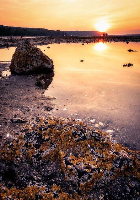Barnacle Rock Sunset