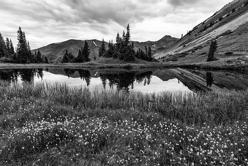 paradisedivide bw clouds morning reflection summer sunrise wilderness wildflowers