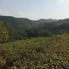 Paysage du Yunnan