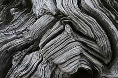 wood swirls