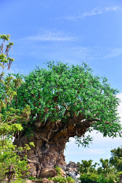 ' The Tree of Life' at Disney Animal Kingdom