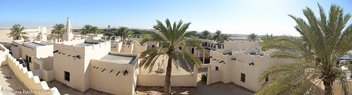 desert qatar