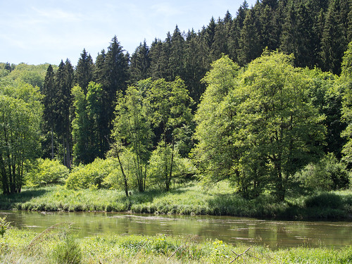 semois ardennen belgië wallonië rivier river natuur nature groen landscape landschap