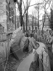 Old Jewish Cemetery 4