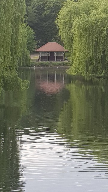 Lake in Wardown Park