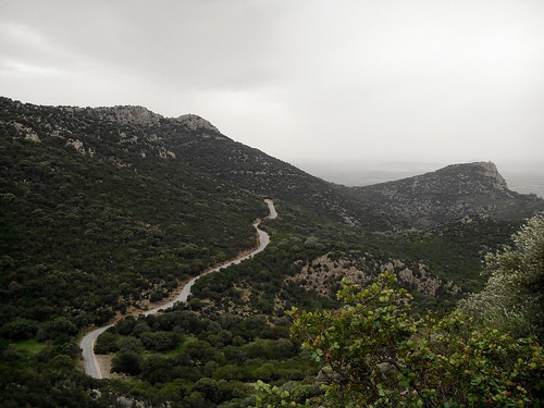 zaghouan mountains hiking stormy road forest