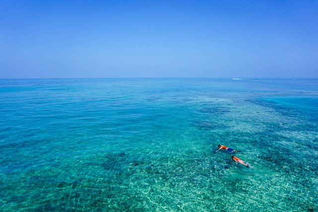 La Top 6 delle barriere coralline più belle secondo il WWF dove fare snorkeling