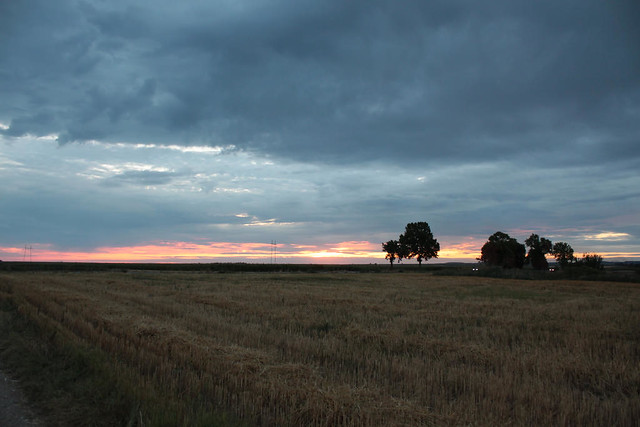 Nevena Uzurov - Evening light