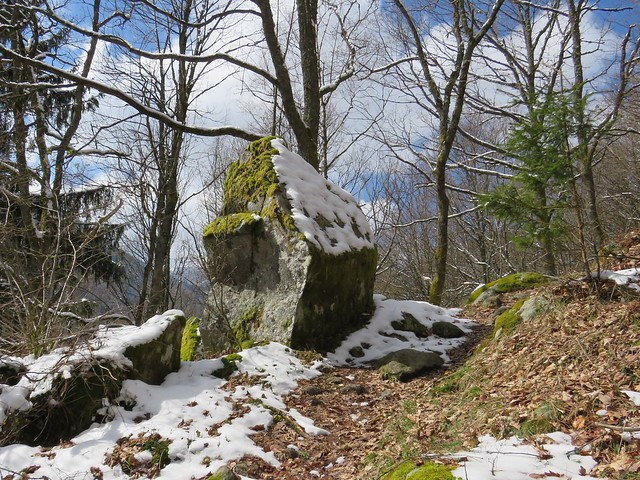 Neige et rochers moussus sur le sentier du Kastelberg