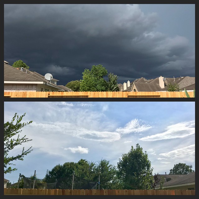 Texas weather is crazy. Just walked out in the back yard, and took these. Top photo is to the left...bottom photo to the right.