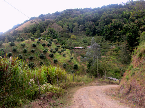 camino caminata rural campo ladera colina pendiente cableado cercado agricultura hierba vegetación