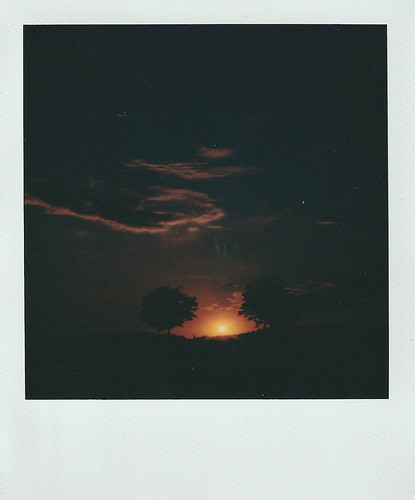 Two trees by Moesko Photography, (Polaroid 600)analogue polaroid polaroid600 munich münchen germany bavaria riem park outdoor evening
