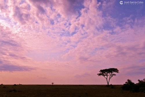 áfrica uganda murchisonfallsnationalpark parquenacionaldecataratasmurchinson color paisajes amaneceres lagoalberto naturaleza canon canong7x g7x nikobo joségarcíacobo