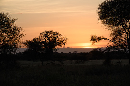 Sunset by Zack A., Tarangire National Parkmanyararegion tanzania tz