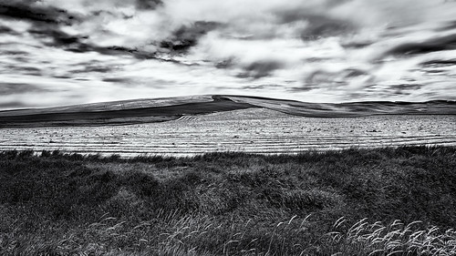 landscape agriculture uniontown leadinglines southeastwashington monochrome hay farm clouds wheat whitmancounty palouse colton blackandwhite field tones textures