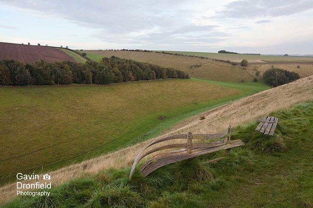 IMG_1184: Poetry bench Horse Dale Yorkshire Wolds Yorkshire UK