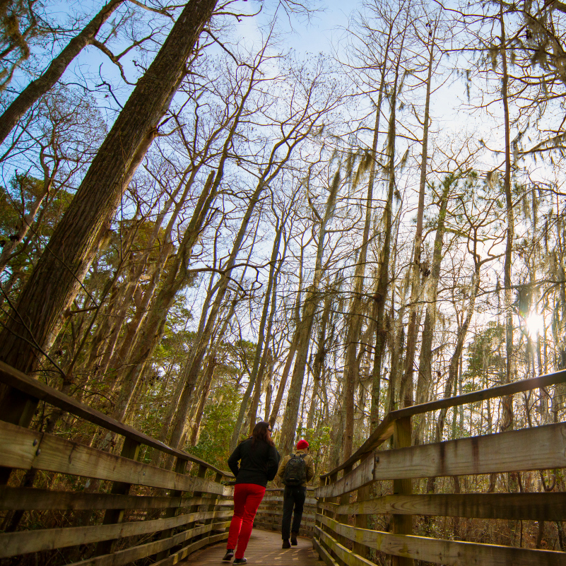 Hike with friends during spring break